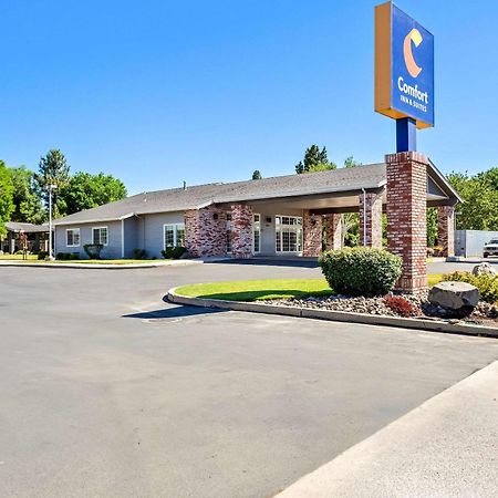 Comfort Inn & Suites Сузанвилл Экстерьер фото