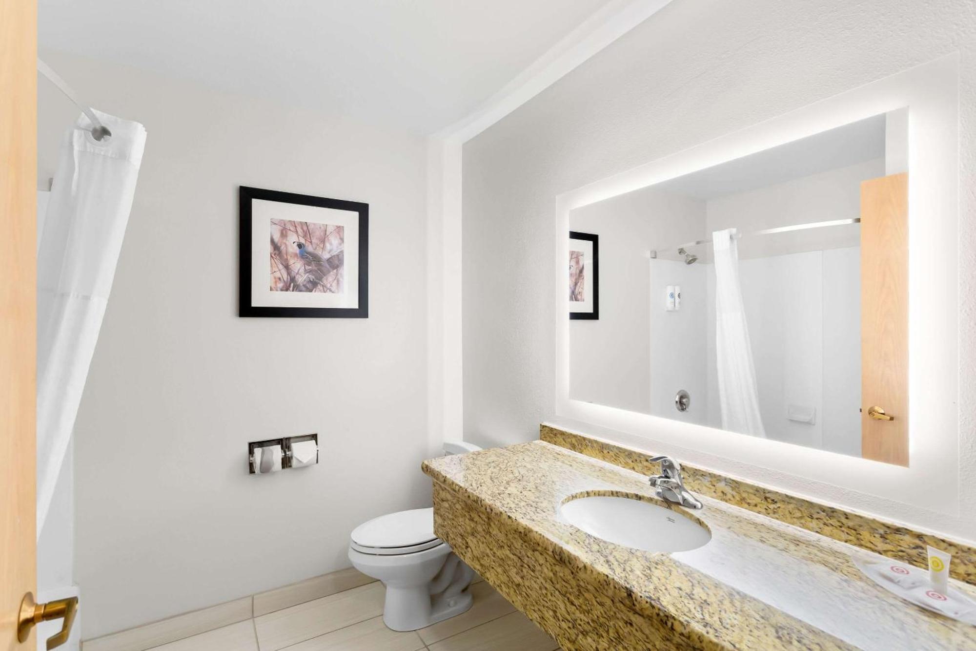 Comfort Inn & Suites Сузанвилл Экстерьер фото